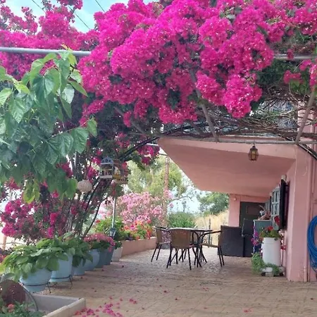 Βίλα πασιθέα *